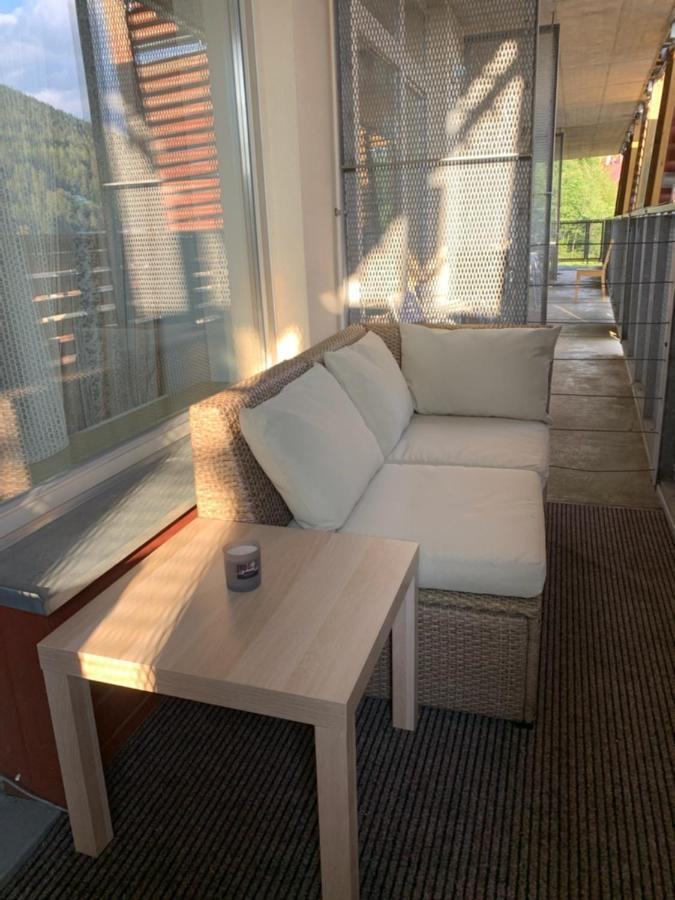 Apartman Certovka Harrachov Εξωτερικό φωτογραφία